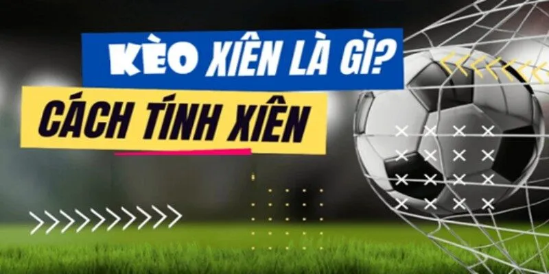 Cược Kèo Xiên - Bí Quyết Bắt Kèo Cực Đỉnh Cho Thành Viên Mới 4 Thành viên tham gia cược xiên cần nắm rõ cách tính điểm