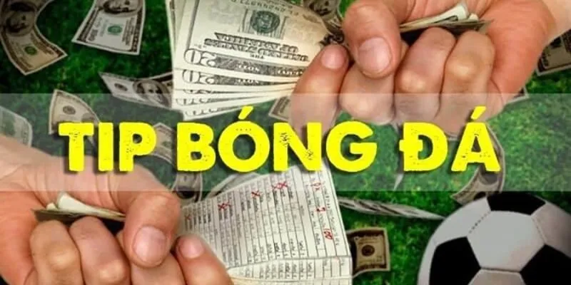 Tips Bóng Đá Là Gì? Những Bí Quyết Giúp Bạn Thắng Kèo Nhanh 5 Quyền lợi thành viên khi có chiến lược và tips chơi cụ thể